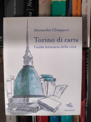Torino carta guida - torino,